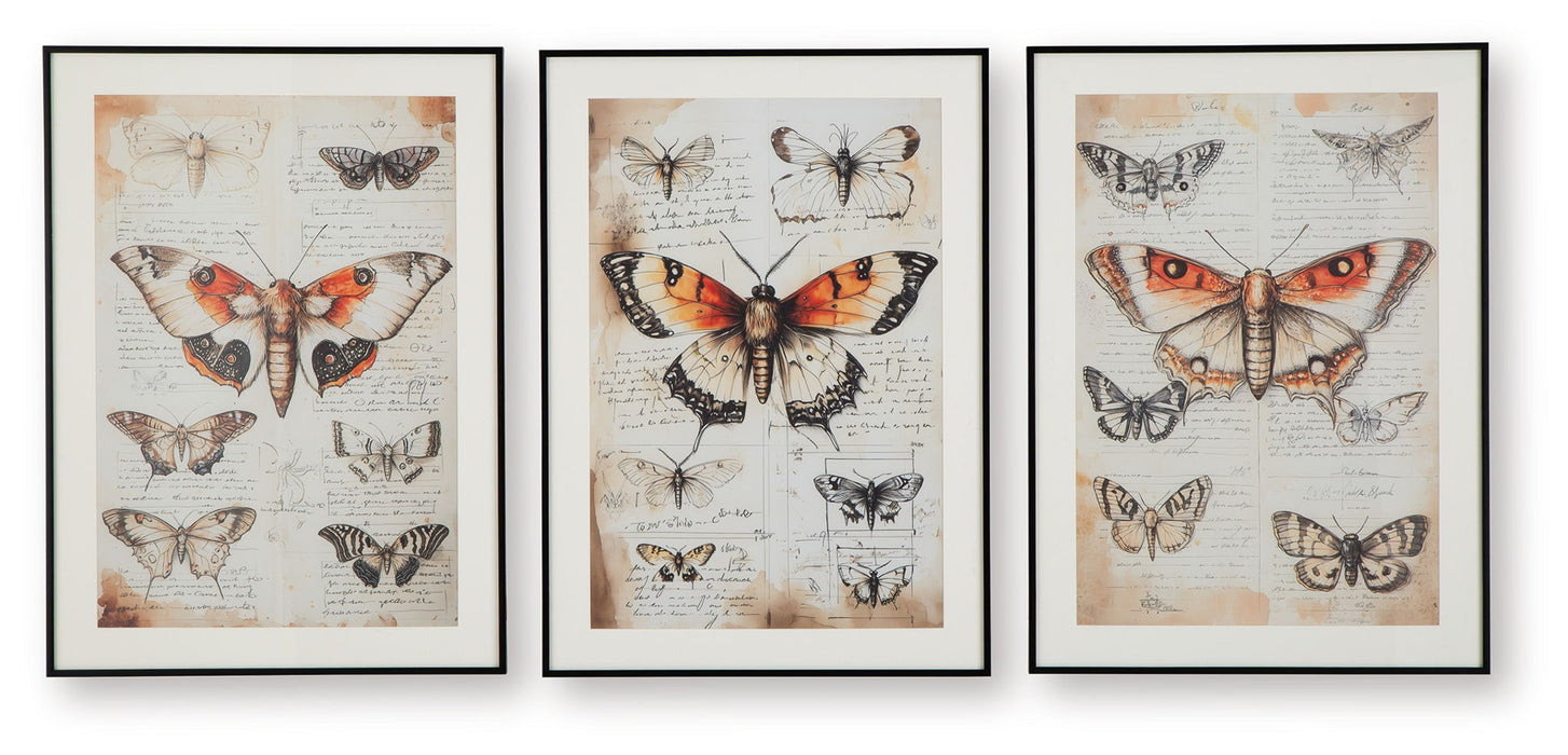 Jossletts - Orange / Black / Ivory - Wall Art Set (Set of 3) - Simple Home Plus