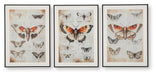 Jossletts - Orange / Black / Ivory - Wall Art Set (Set of 3) - Simple Home Plus
