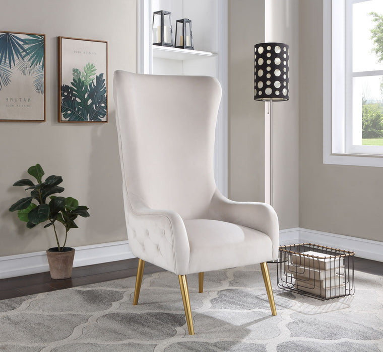 Alexander - Accent Chair - Simple Home Plus