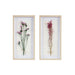 Avant Garden - Floral Natural Shadowbox (Set of 2) - Multi - Simple Home Plus