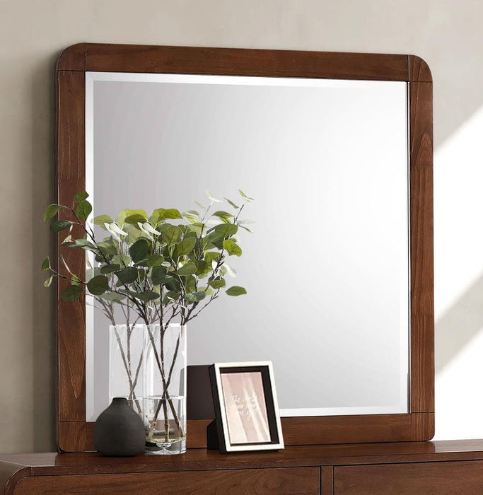 Robyn - Dresser Mirror - Simple Home Plus